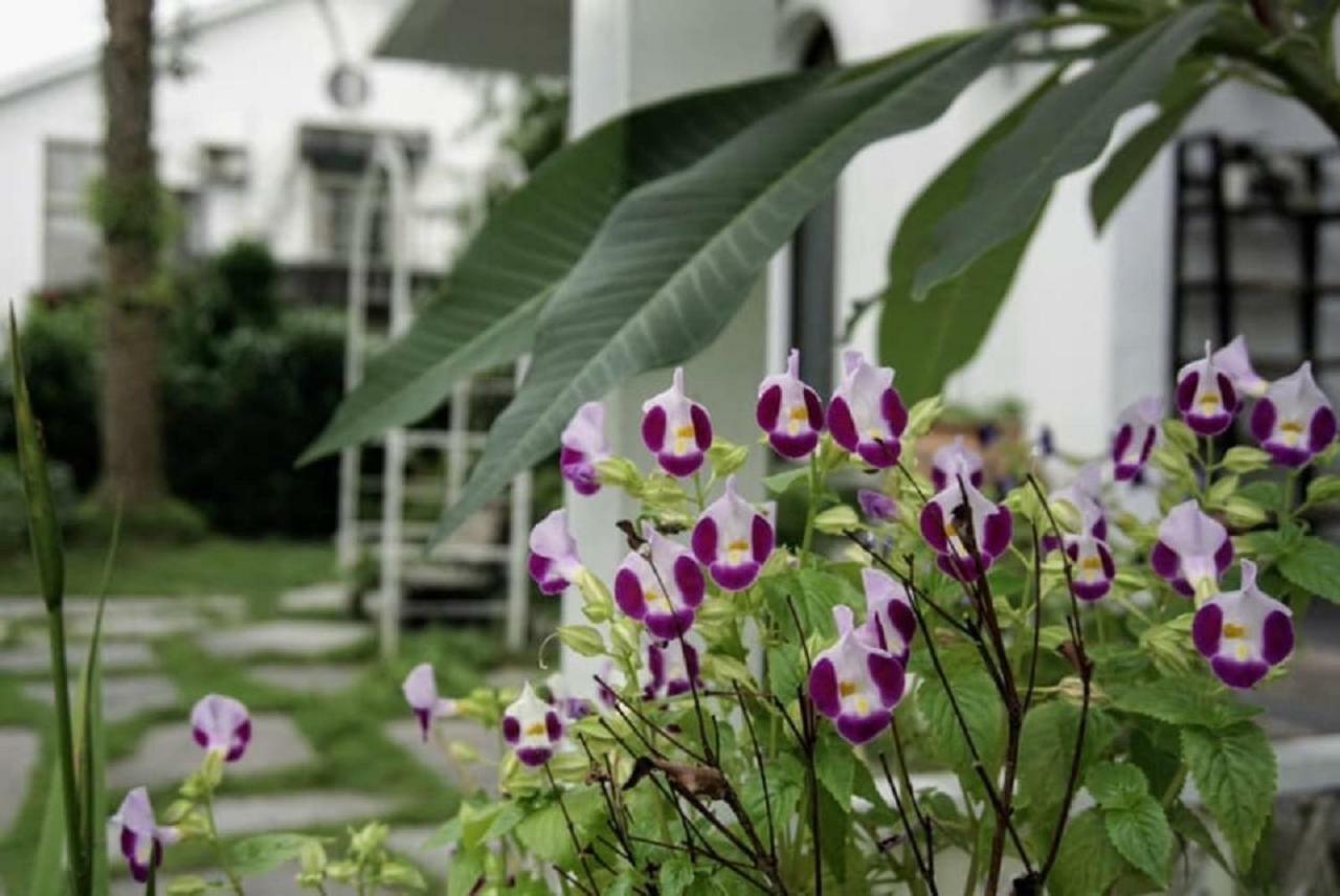 Hasayaki Homestay Sanxing Eksteriør billede
